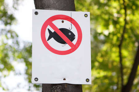 The drawn fish on a white sheet of a paperの写真素材