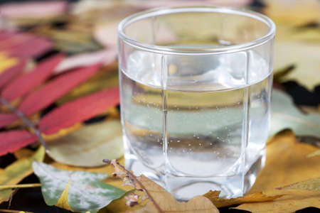 Glass. Multicoloured leafs lie on a black backgroundの写真素材