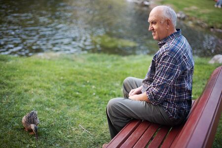 The elderly man sits on a bench in parkの写真素材