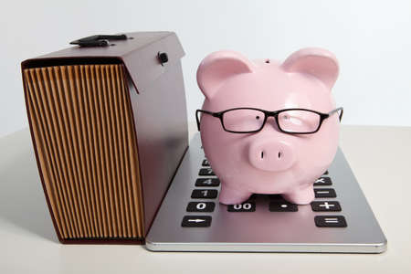 Pig bank and brief case and calculator