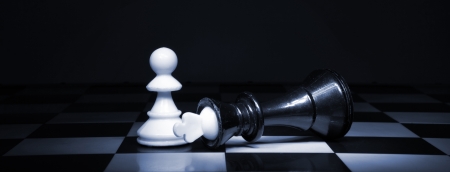 A pawn and the won king. Game of chessの写真素材