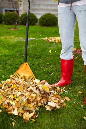 Woman in red boots raking Fall leaves in backyardの写真素材