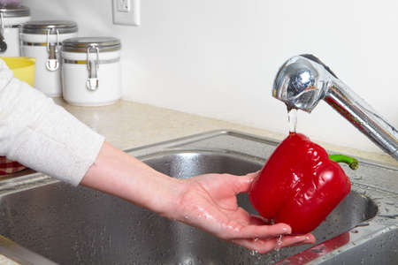 Sweet pepper in the sink. Fresh sweet pepperの写真素材