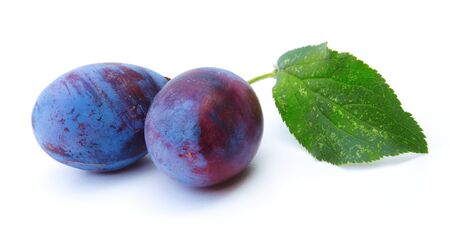 Plum isolated on a white background. Natureの写真素材