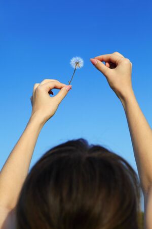 Young girl and dandelion in a blue skyの写真素材