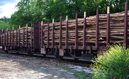 railway wagon with woodの写真素材