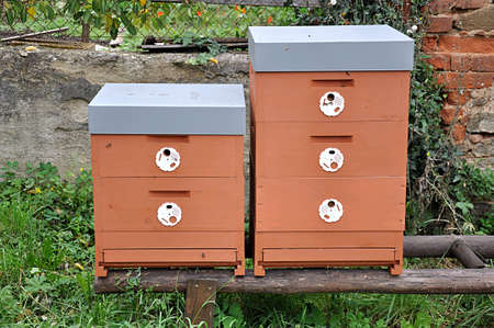 detail view, small apiary