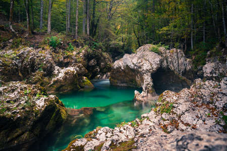 Elephant shaped rock in Mostnica Gorge in Sloveniaの写真素材