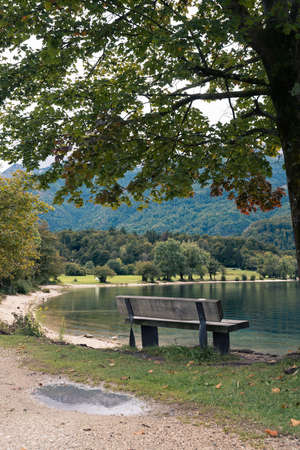 Bench in front of lake Bohinj in summerの写真素材
