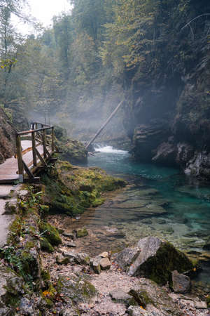 Misty river in Vintgar Gorge in Sloveniaの写真素材