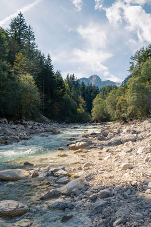 Wild river in forest with a mountain in the backの写真素材