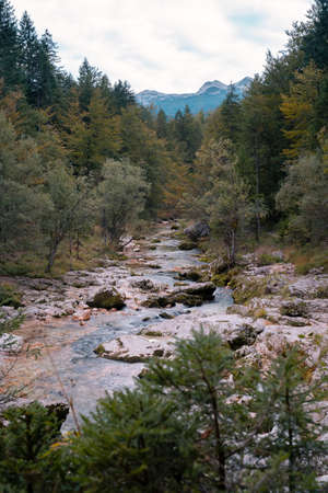 Mostnica river view with a mountain in the backの写真素材