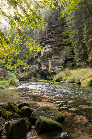 River in forest in autumn in Hrenskoの写真素材