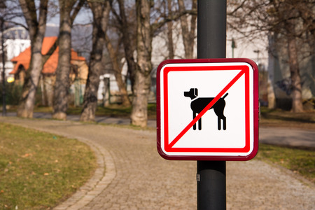 No Dogs Sign in parkの写真素材