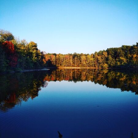 Tree reflexion in water, landscape photo