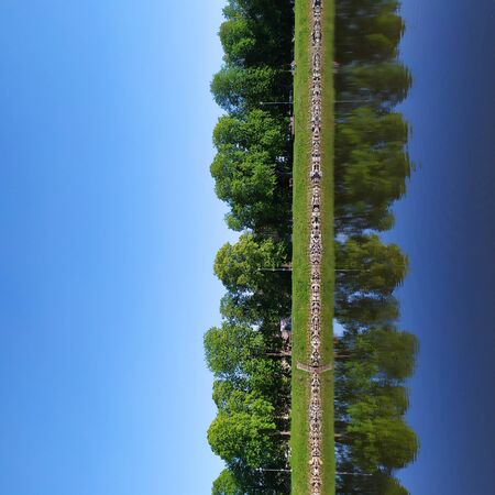 Trees on riverbank reflexionの写真素材