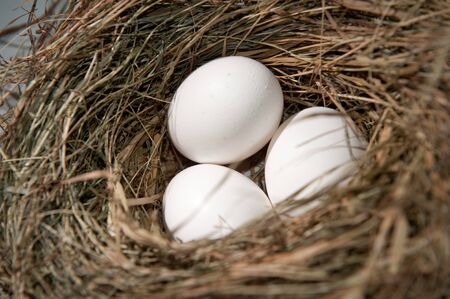 Three white eggs in the straw nest 