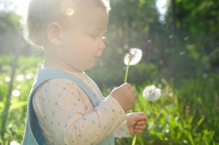 Little baby girl blowing on dandelion. Sunlight effectの写真素材