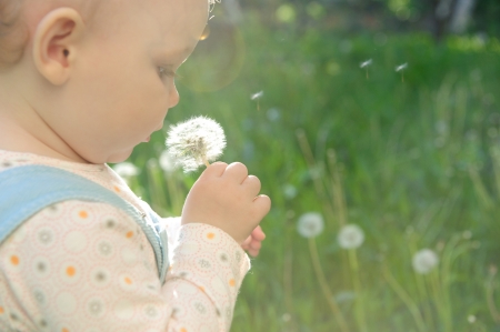 Little baby girl blowing on dandelion. Sunlight effectの写真素材