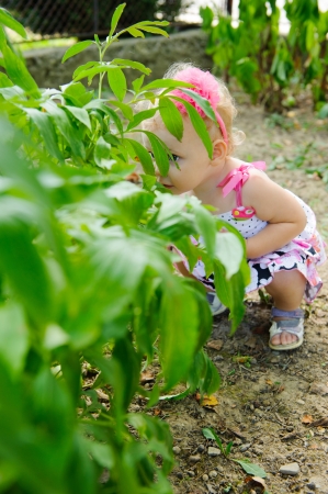 Little girl is hiding over the green bushの写真素材