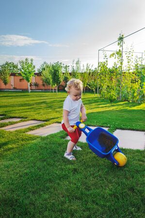 Playful curly haired baby with wheelbarrow on green grassの写真素材