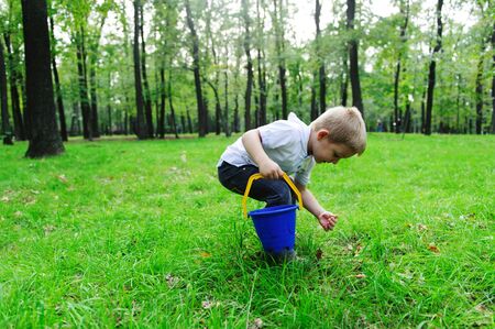 Cute little boy gathering mushrooms in green grass in forestの写真素材