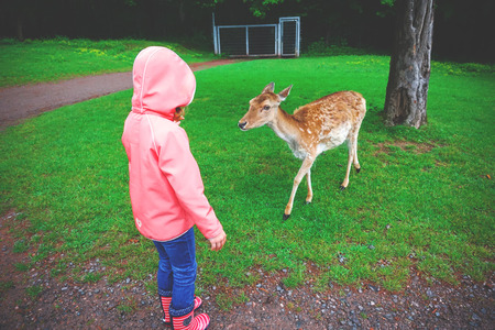 Happy pretty little girl in rubber boots feeds deers in the nature park at the autumn weatherの写真素材