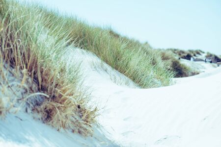 Photo of dunes and white sand beach at German shore of Baltic sea