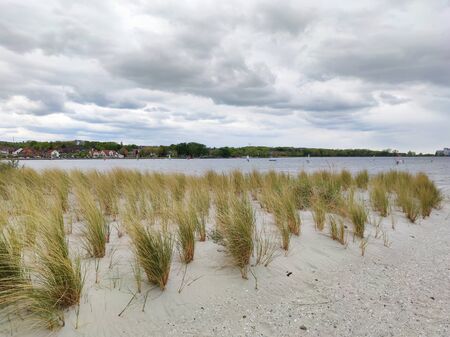 Photo of dunes and white sand beach at German shore of Baltic seaの写真素材