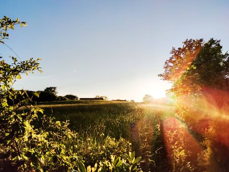 Romantic calm environment of landscape background rural farm meadow  in sunset light