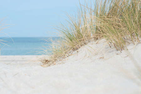 Baltic sea dunes over blue coastline background in Northern Germany