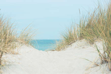Baltic sea dunes over blue coastline background in Northern Germanyの写真素材
