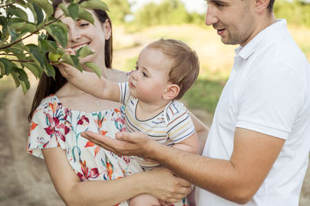 Portrait of happy young family with baby son playing and having fun together in nature during sunset on fieldの写真素材