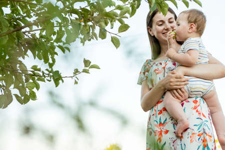 Portrait of happy young mother with her cute baby son joyful exploring the world on field at sunny dayの写真素材