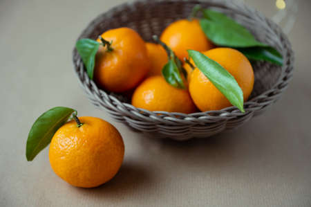 Orange juicy mandarins with fresh green leavesの写真素材
