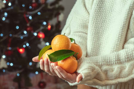 Photo of child hands in knitted sweater holding fresh mandarins with green leaves with bokeh on...