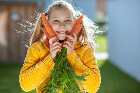 Funny little girl in yellow pullover posing with bunch of carrots during gathering harvestの写真素材