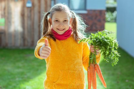Cute little child girl holding bunch of fresh carrot in rural garten at sunny dayの写真素材