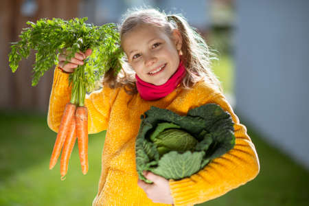 Funny little girl with two pigtails in yellow smiling with fresh autumn harvest in sunny rural gardenの写真素材