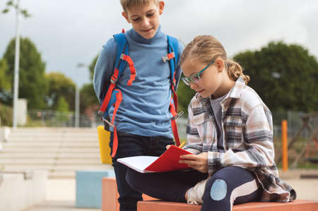 Male and female classmates studying in the school yard after classes