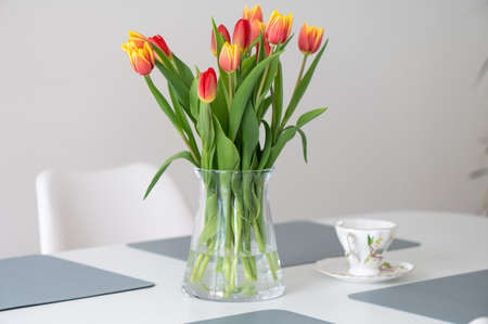 Colorful fresh tulips in glass vase on a tableの写真素材