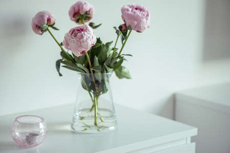 Beautiful pastel pink peonies in vase in white minimalistic interiorの写真素材