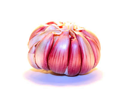 A large pink head of garlic on a white background lies on the table