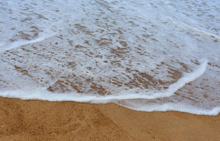Tropical beach with palm trees, sand and waves paradise vacation by the sea, christmas on the beach,...