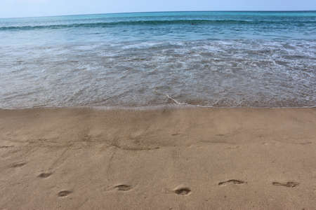 Hot beach with palm trees, sand and waves paradise vacation by the sea, christmas in Thailand, sea...