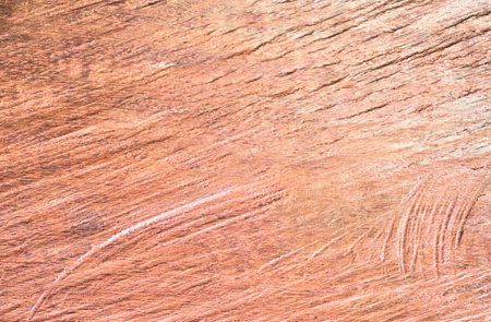 Natural wood pattern, texture, art wood background