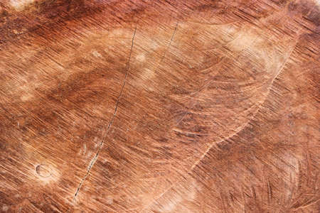 Natural wood pattern, texture, art wood background