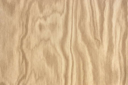 Natural wood pattern, texture, art wood background