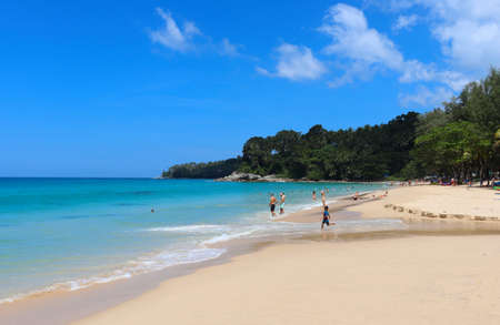 Tropical beach with palm trees, sand and waves paradise vacation by the sea, landscapeの写真素材