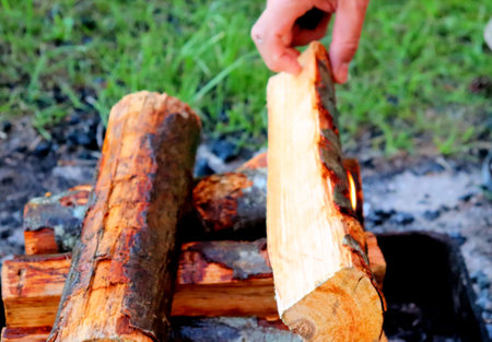 Barbecue on the forest lake, camp on the lake in the forest by the fire